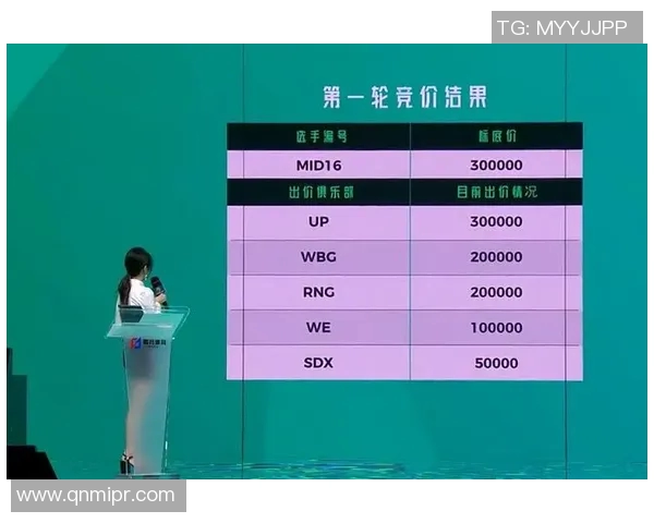 EDG战队反击策略深度分析与实战应用探讨