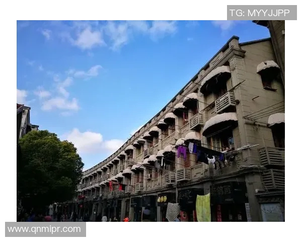 上海篮球队的奋斗历程与荣耀时刻全景纪实