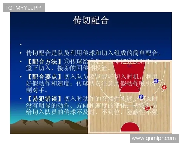 深入分析北京排球队的进攻策略与战术特点探讨