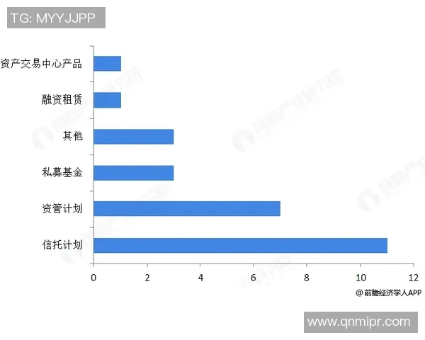 西安羽毛球队的节奏分析与未来发展展望