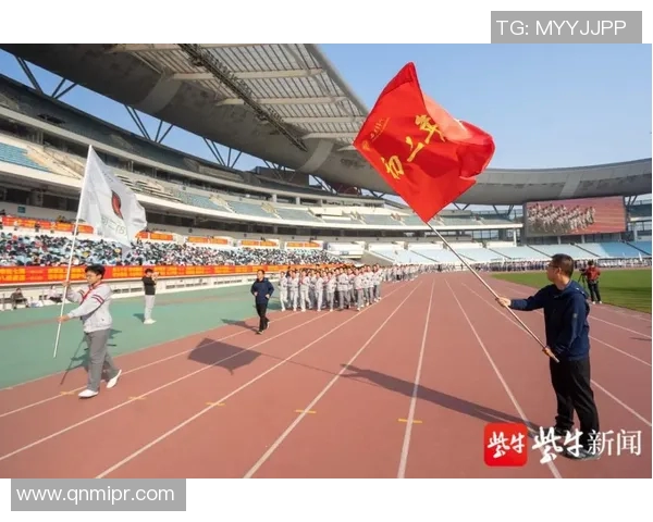 南京羽毛球队反击之路:从困境到崛起的全景解析与未来展望