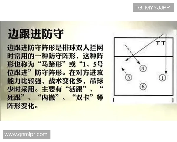 西安排球队反击战术分析与得失总结探讨